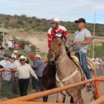 Carreras de Caballos en la Feria Jerez 2014