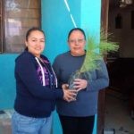 Concluye programa "Plantando vidas" con la entrega y plantación de 10 mil arbolitos