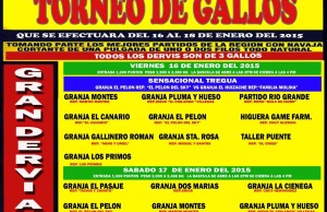 Programa Feria Regional de Sain Alto 2015