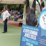 Exposición de belleza canina en la Feria Jerez 2015