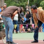 Exposición de belleza canina en la Feria Jerez 2015