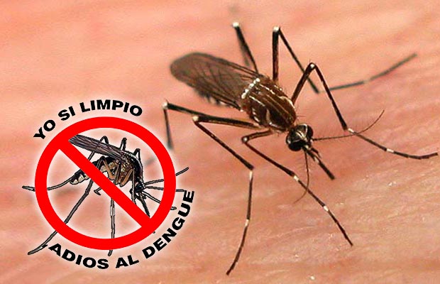 Emiten medidas preventivas contra el dengue