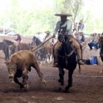 Segundo día del Torneo Charro Nacional FENAZA 2015